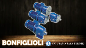 Bonfiglioli Gear Motor