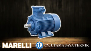 Explosion Proof Motor ABB Rotor Marelli