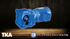 Gear TKA Yuema