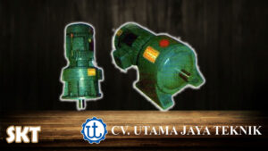 SKT Gear Motor