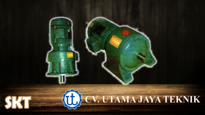 SKT Gear Motor