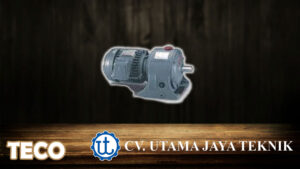 Teco Gear Motor